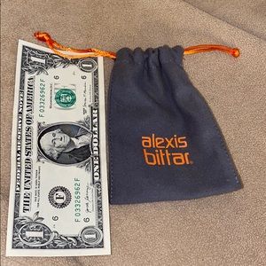 Alexis Bittar Pouch